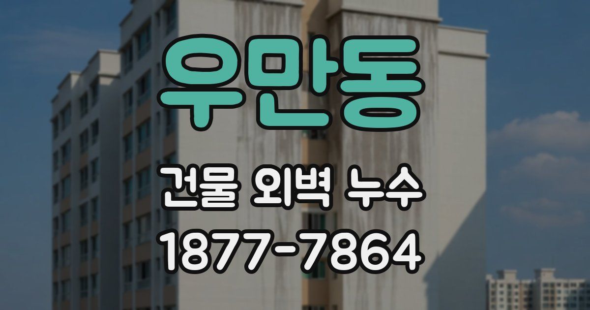 우만동 건물 외벽 누수