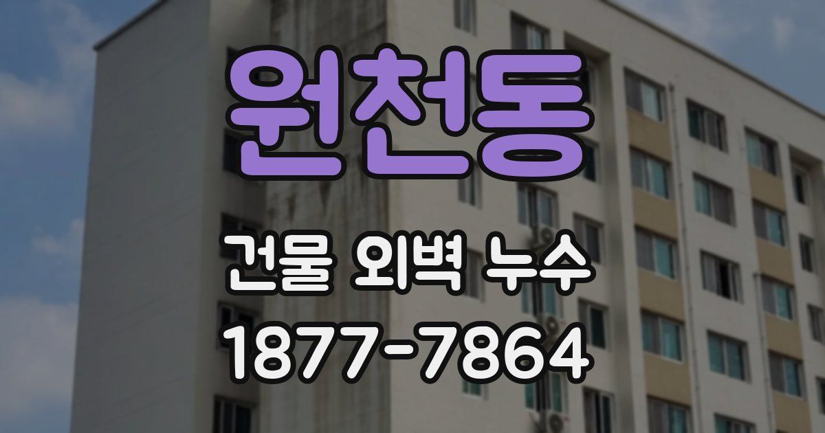 원천동 건물 외벽 누수