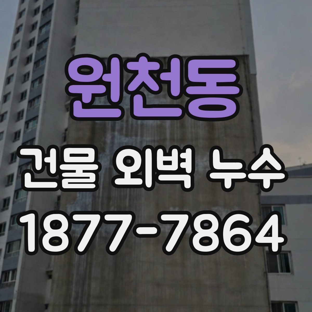 원천동 건물 외벽 누수