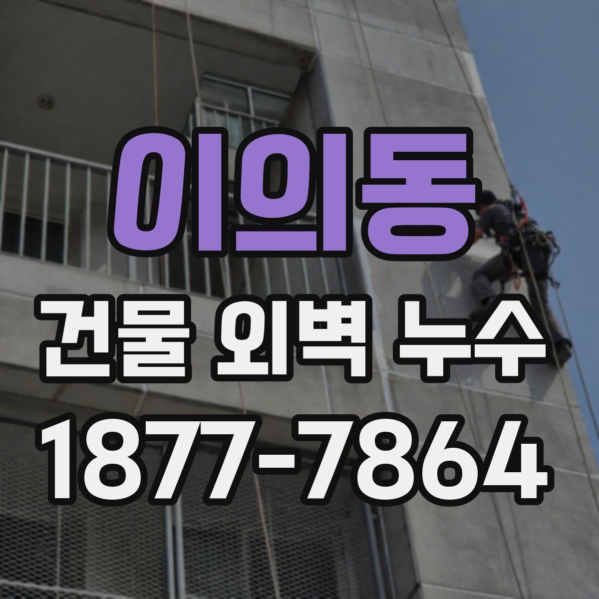 이의동 건물 외벽 누수