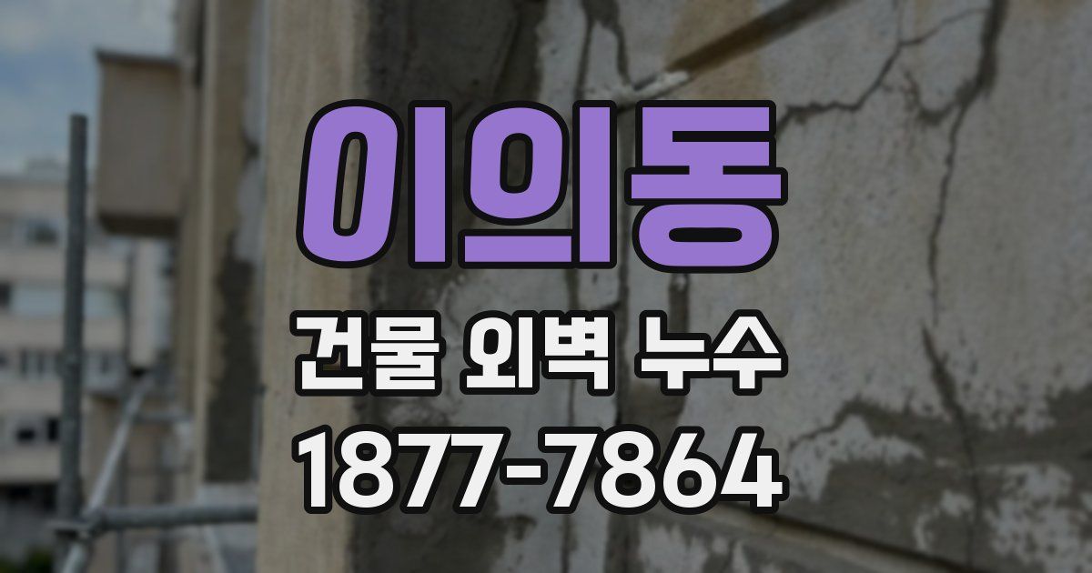 이의동 건물 외벽 누수