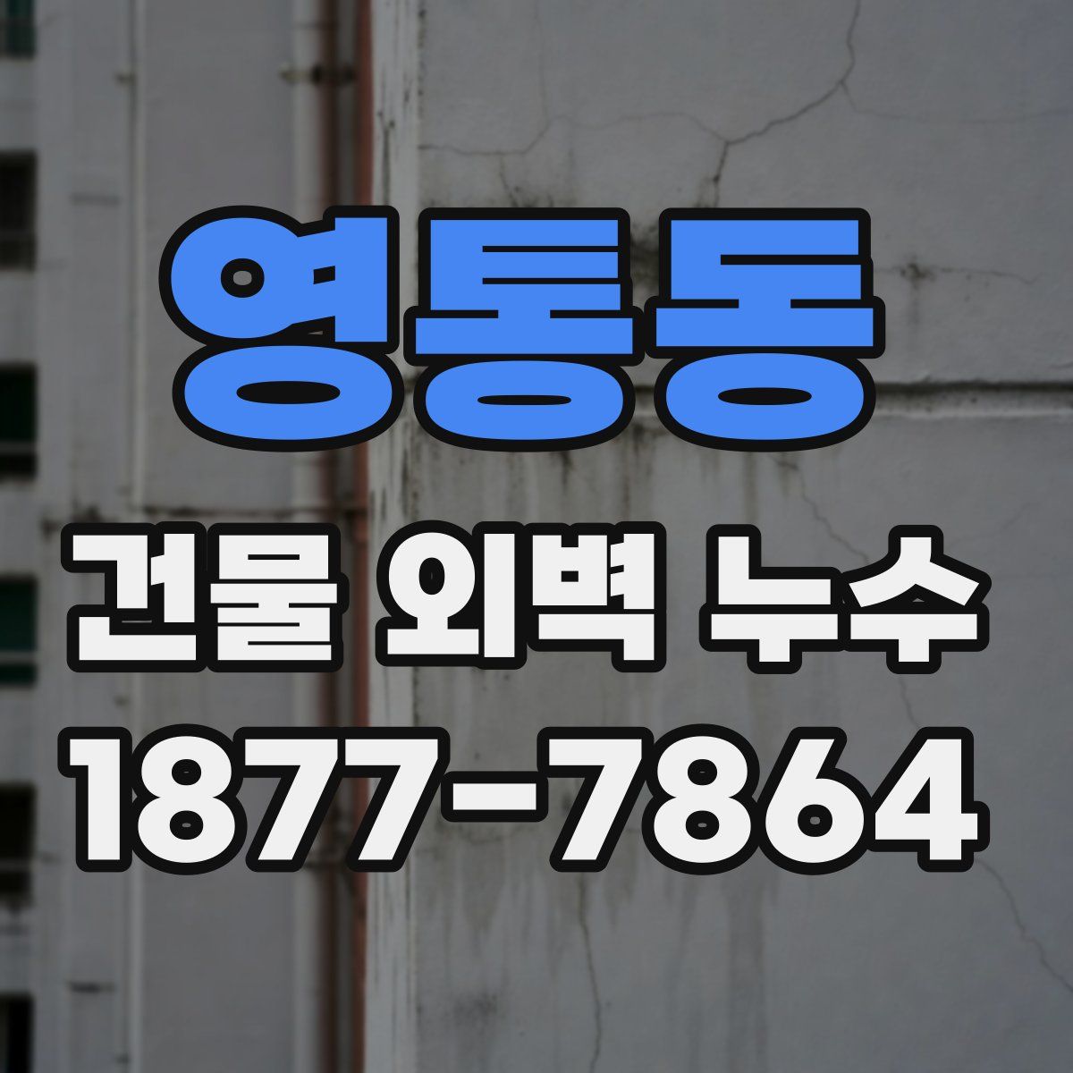 영통동 건물 외벽 누수