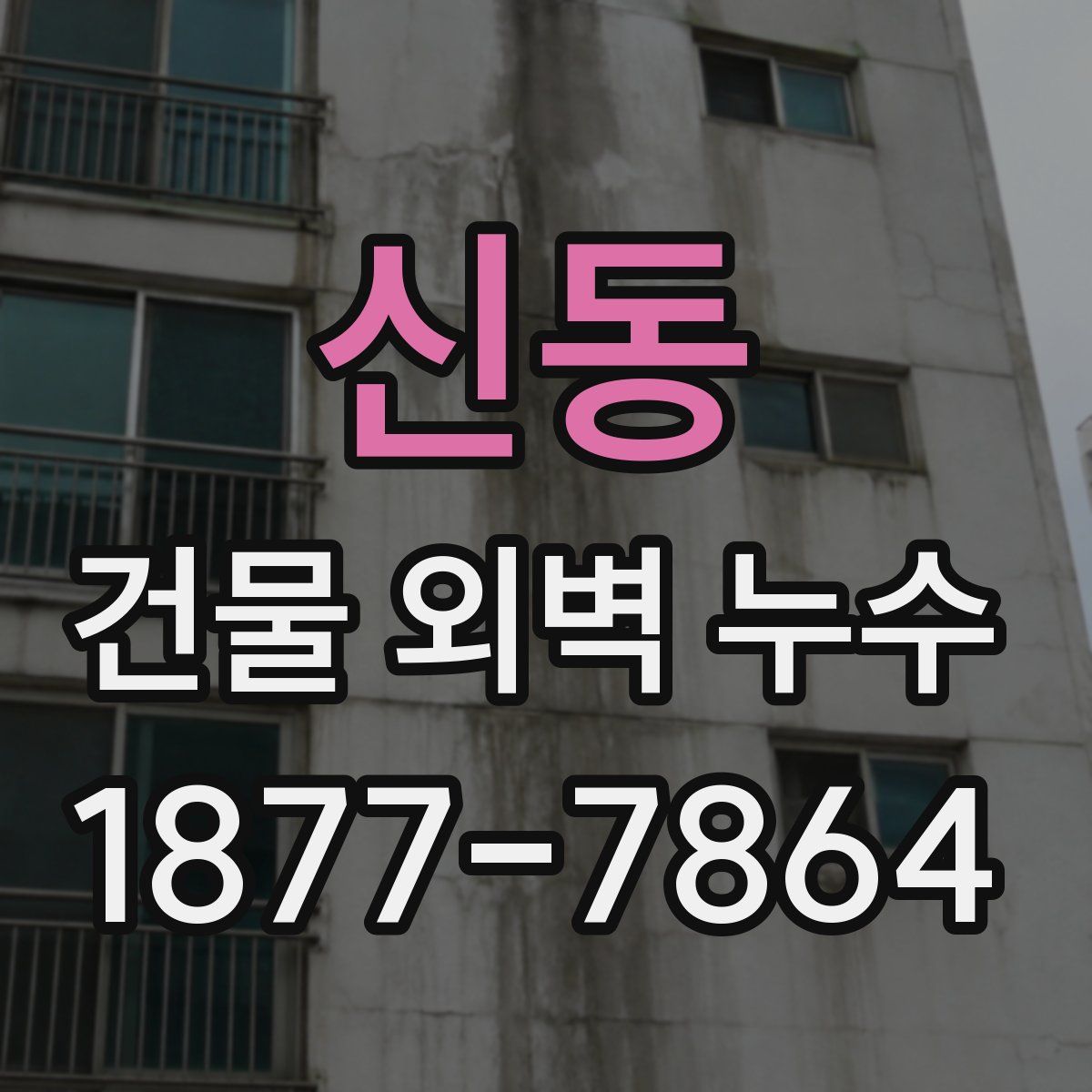 신동 건물 외벽 누수