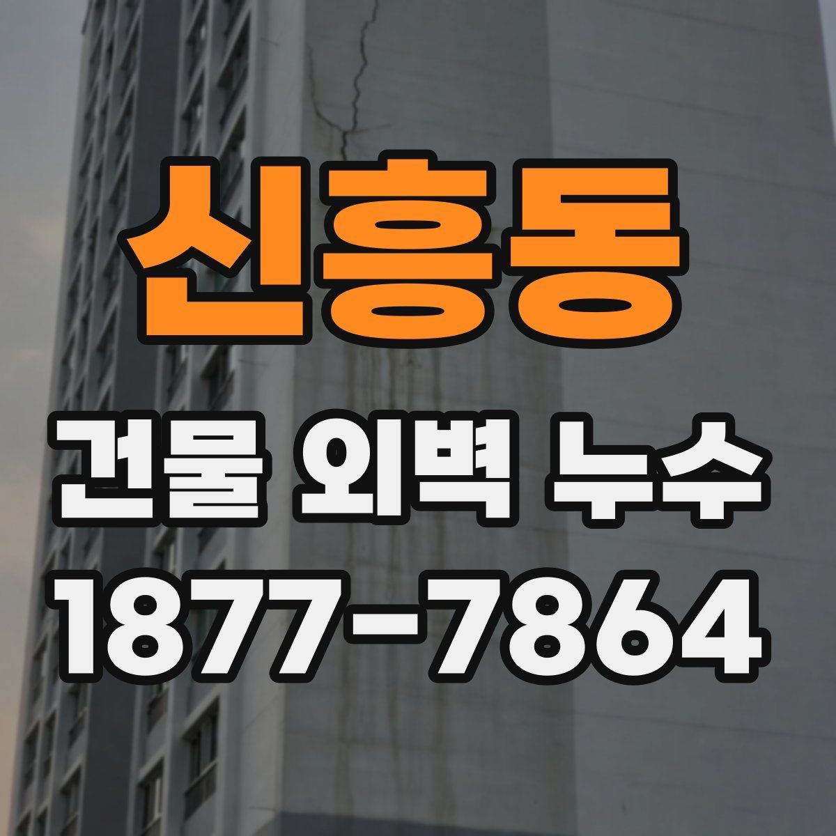 신흥동 건물 외벽 누수