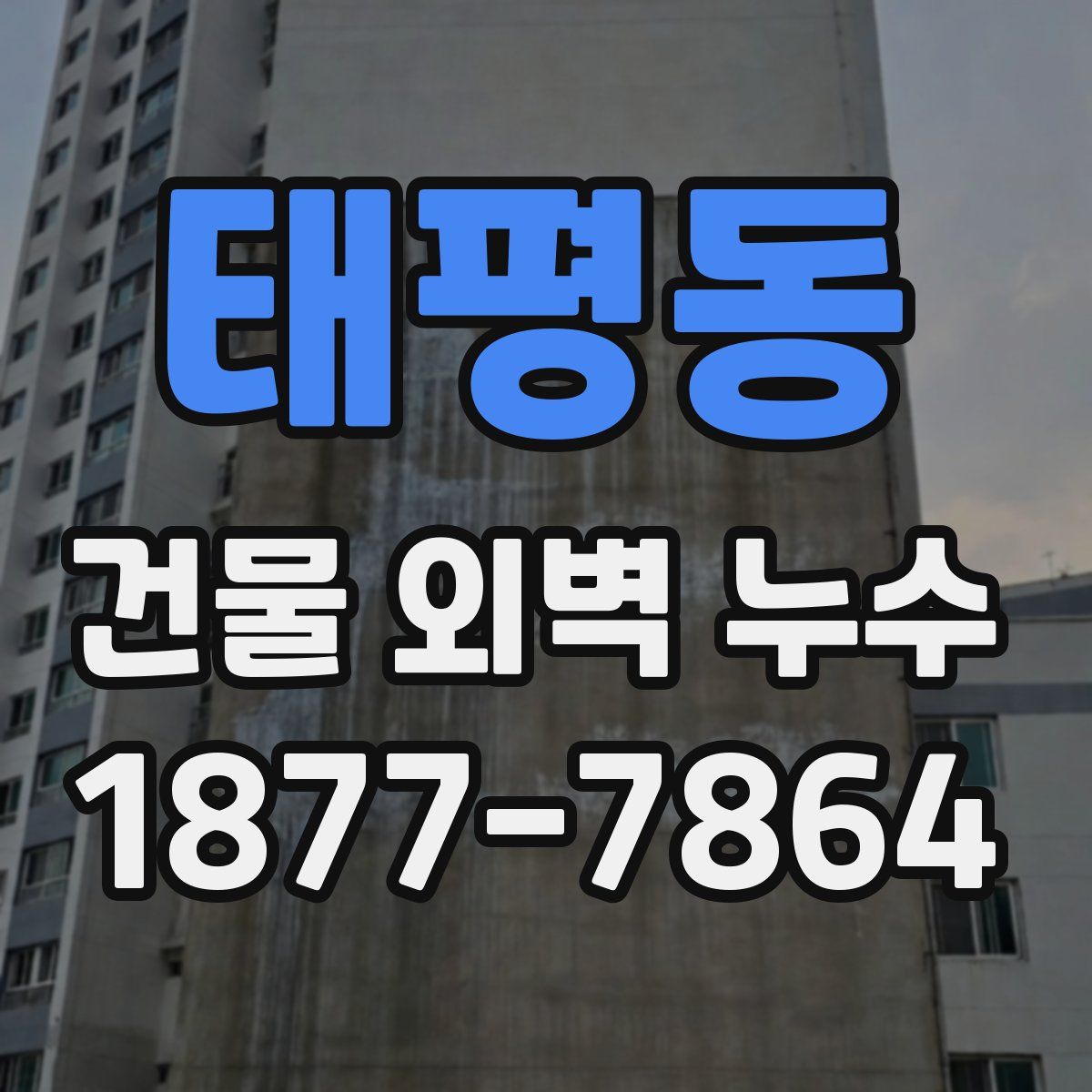 태평동 건물 외벽 누수