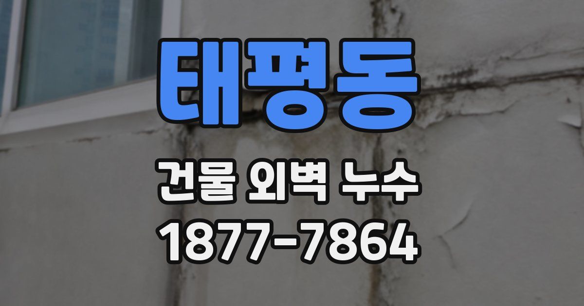 태평동 건물 외벽 누수