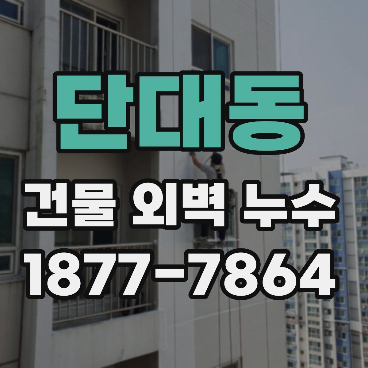 단대동 건물 외벽 누수