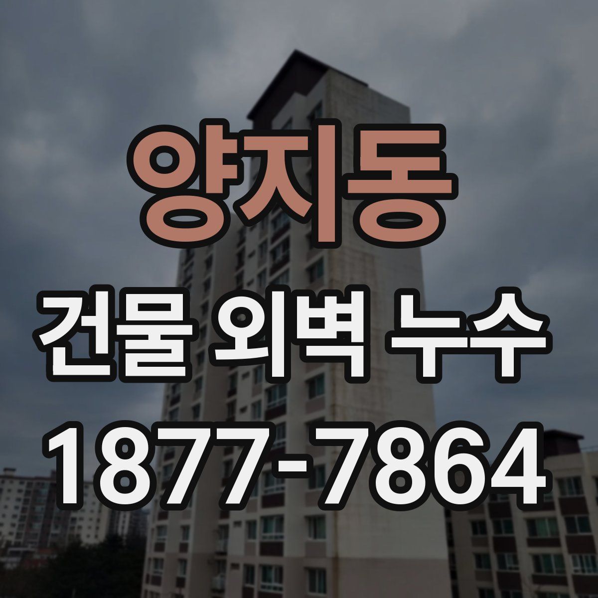 양지동 건물 외벽 누수