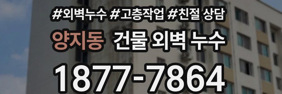 양지동 건물 외벽 누수