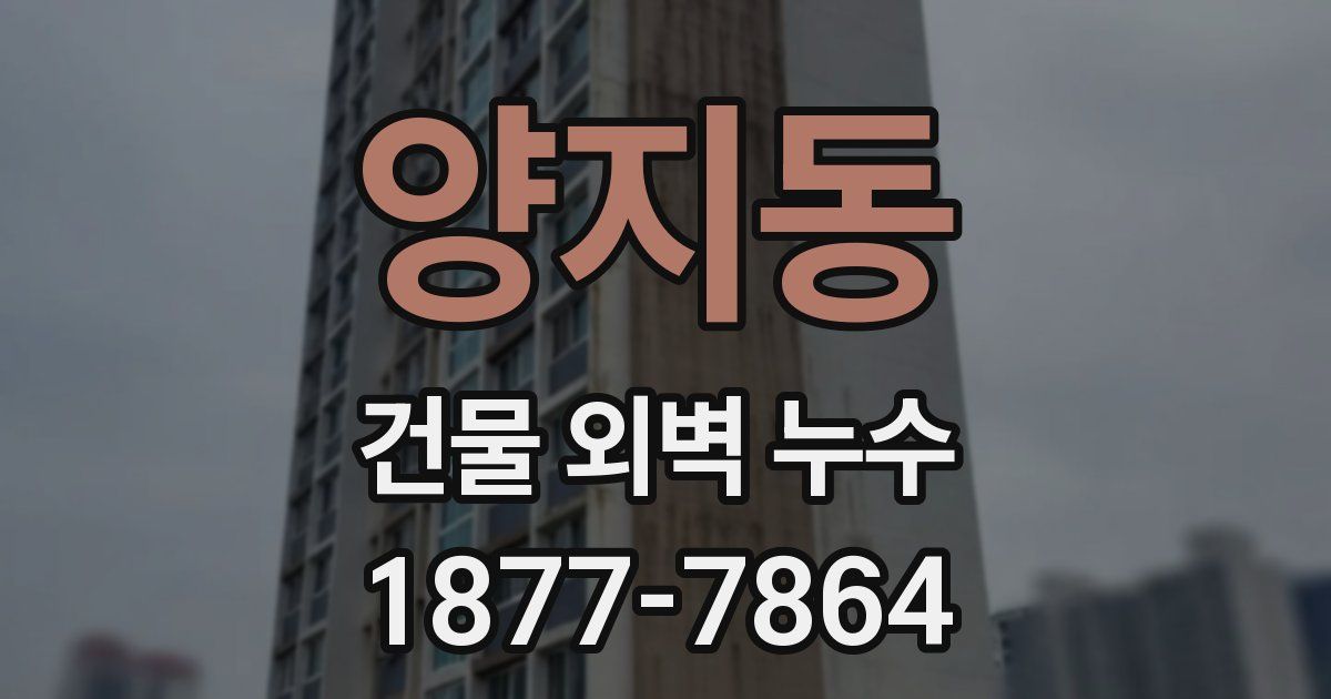 양지동 건물 외벽 누수