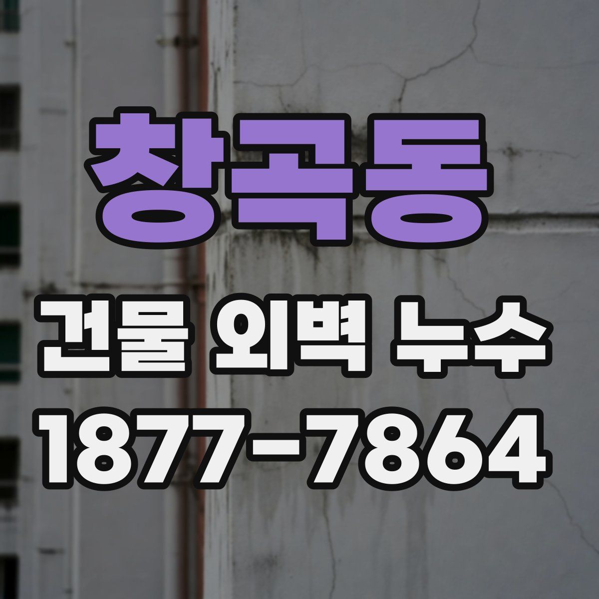 창곡동 건물 외벽 누수