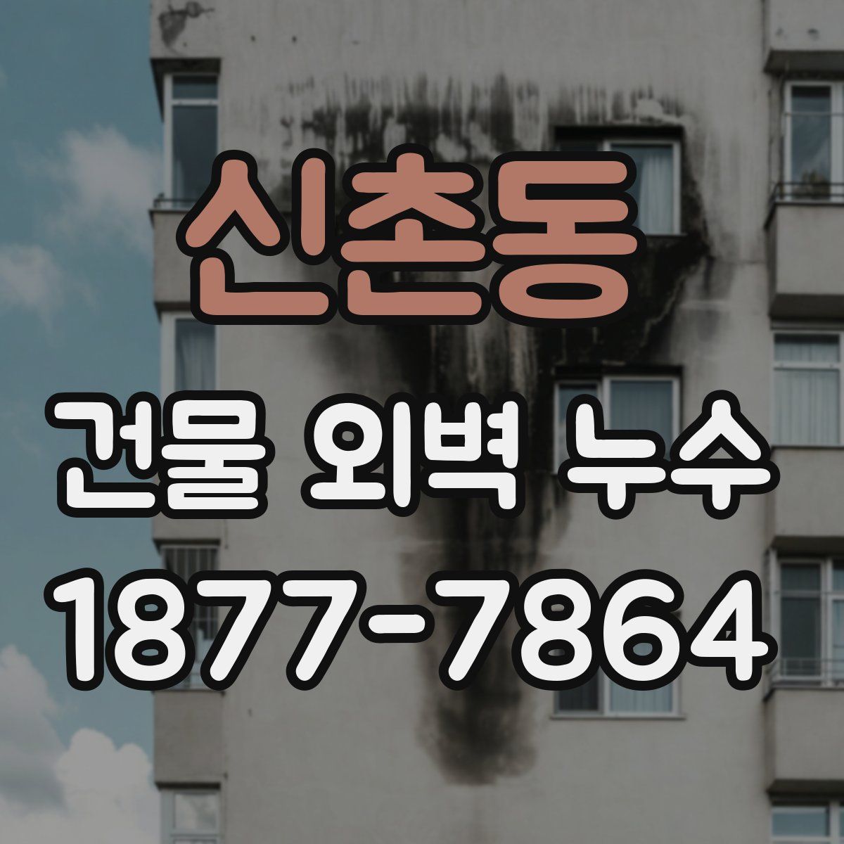 신촌동 건물 외벽 누수