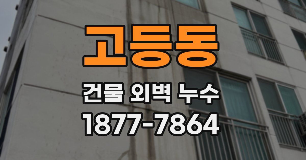 고등동 건물 외벽 누수