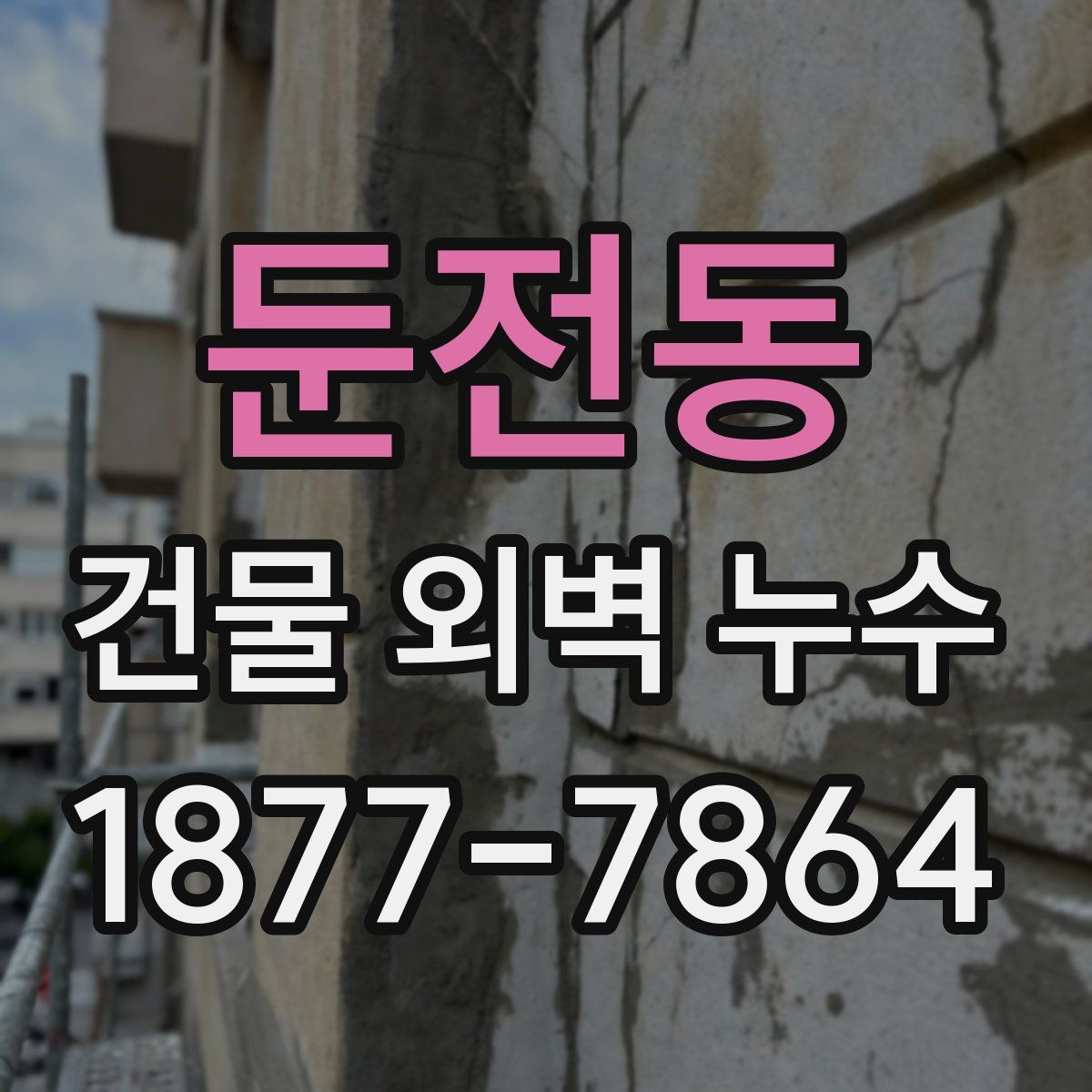 둔전동 건물 외벽 누수