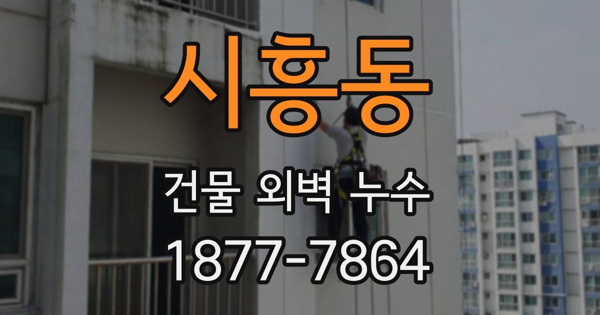 시흥동 건물 외벽 누수