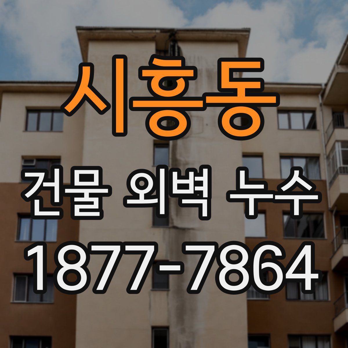 시흥동 건물 외벽 누수