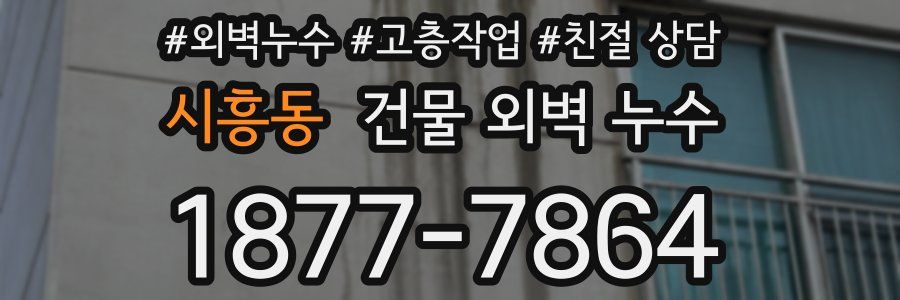 시흥동 건물 외벽 누수