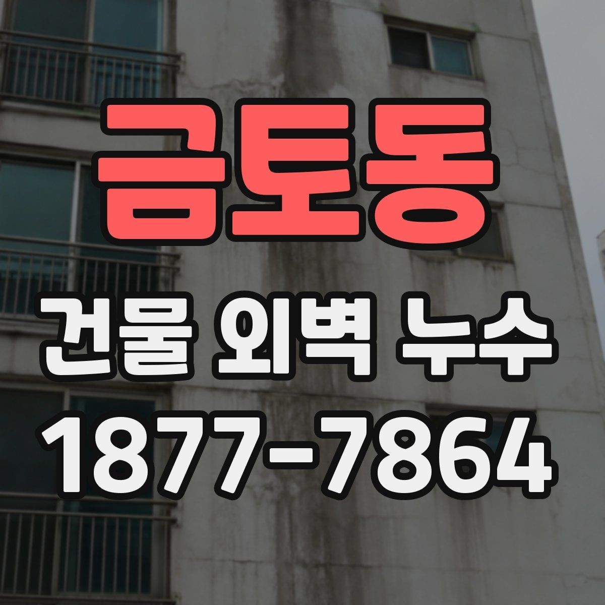 금토동 건물 외벽 누수 진단 시 놓치기 쉬운 부분