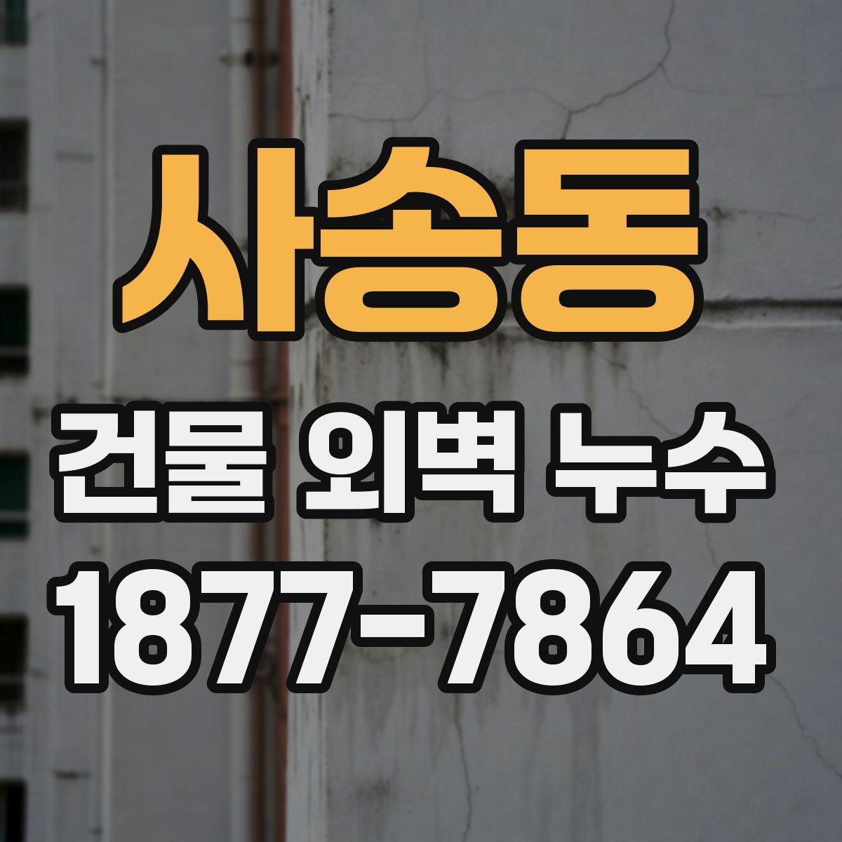 사송동 건물 외벽 누수