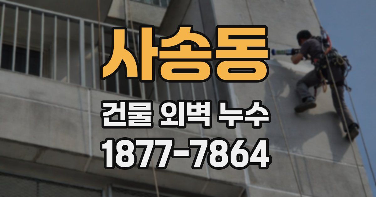 사송동 건물 외벽 누수