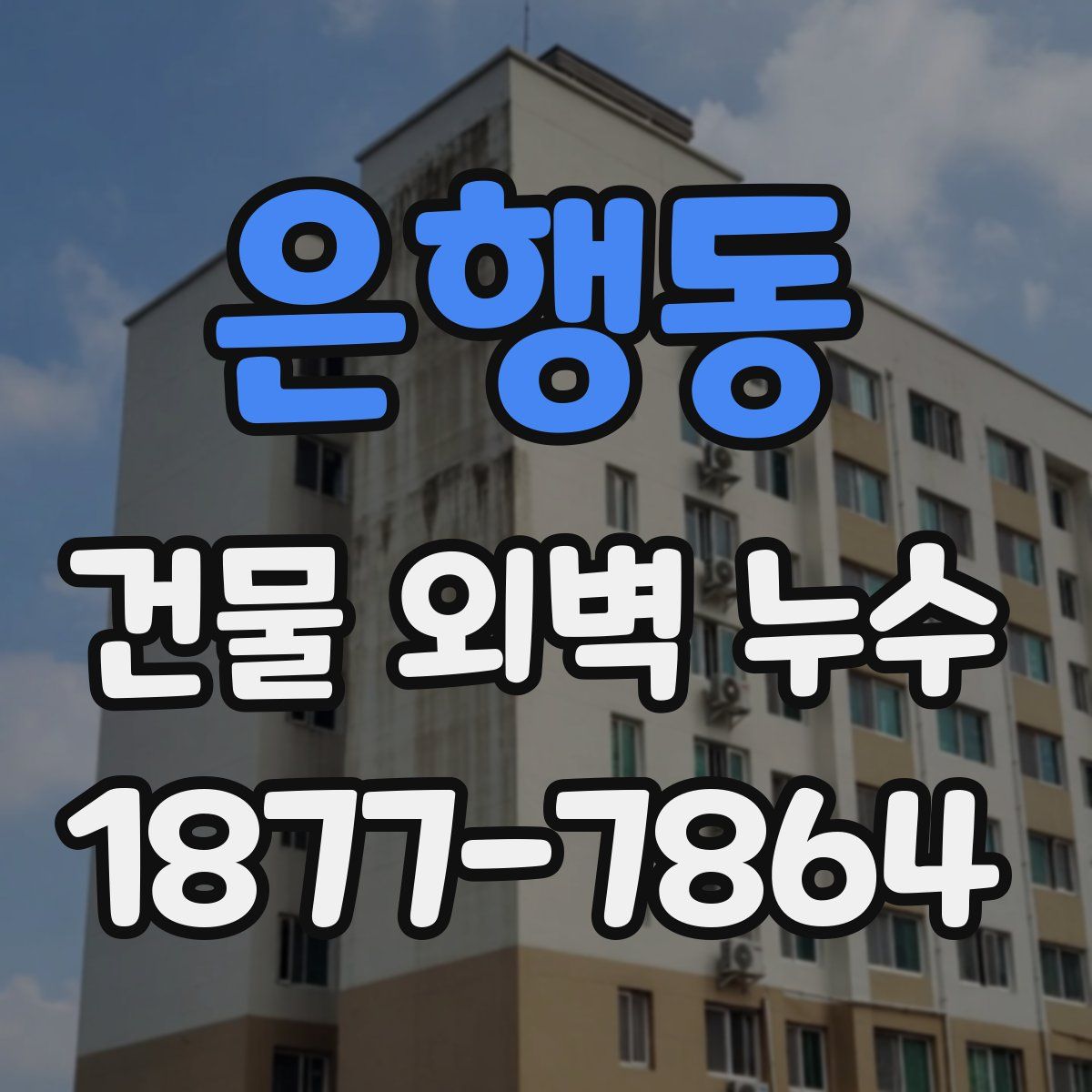 은행동 건물 외벽 누수