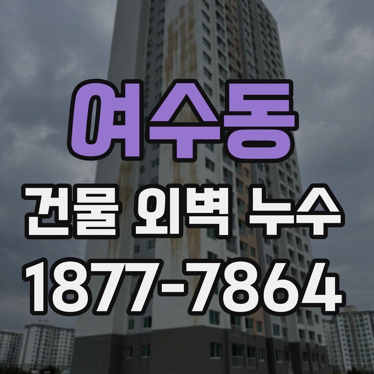 여수동 건물 외벽 누수 보수 일정과 진행 순서