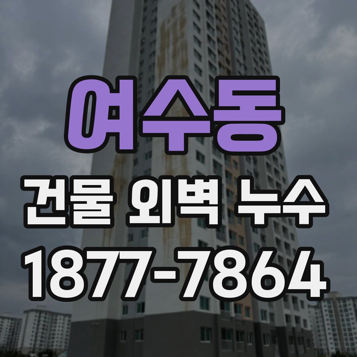 여수동 건물 외벽 누수