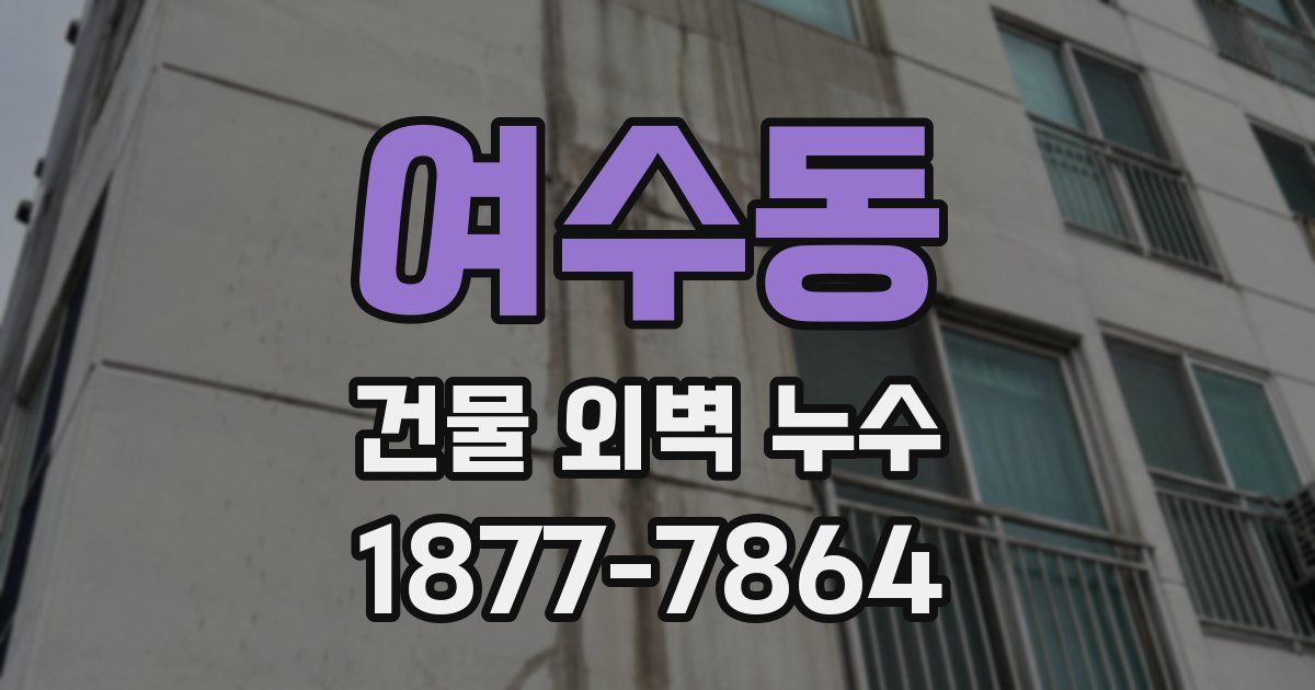 여수동 건물 외벽 누수
