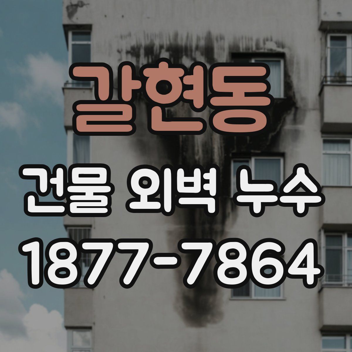 갈현동 건물 외벽 누수