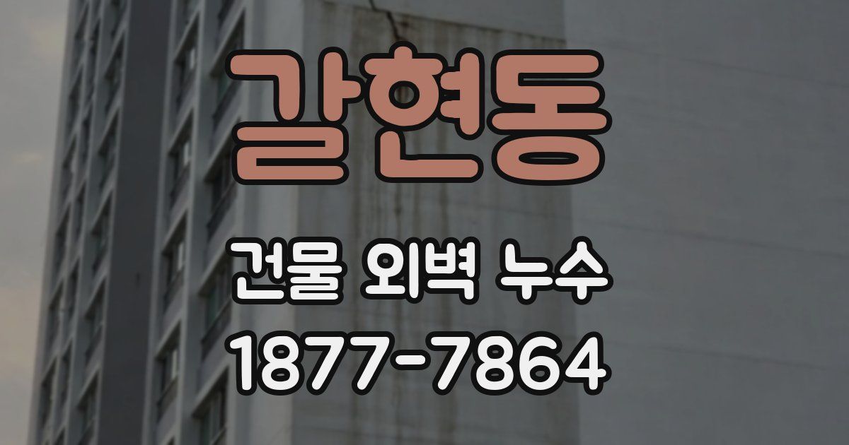 갈현동 건물 외벽 누수