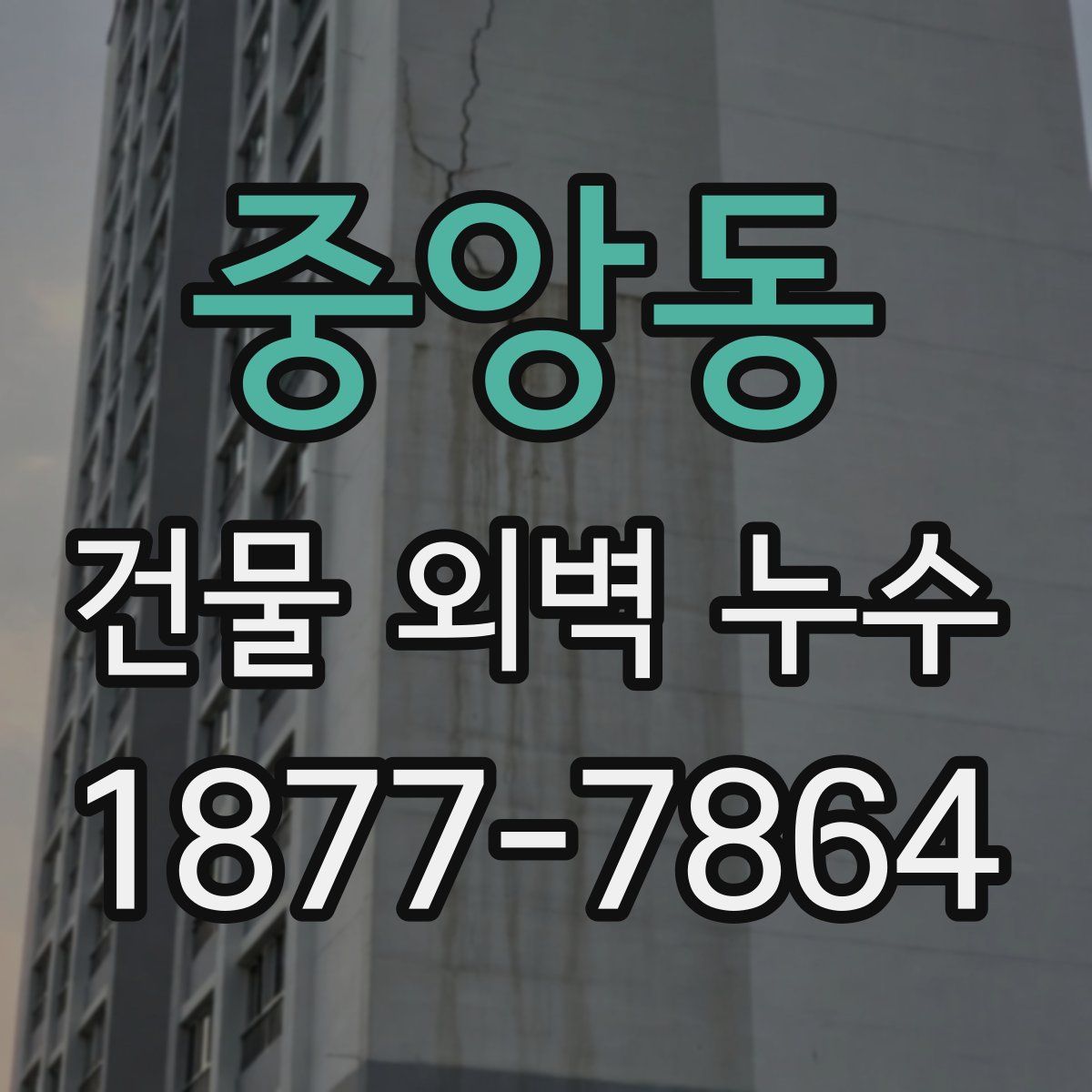 중앙동 건물 외벽 누수
