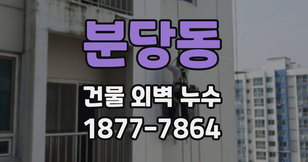 분당동 건물 외벽 누수