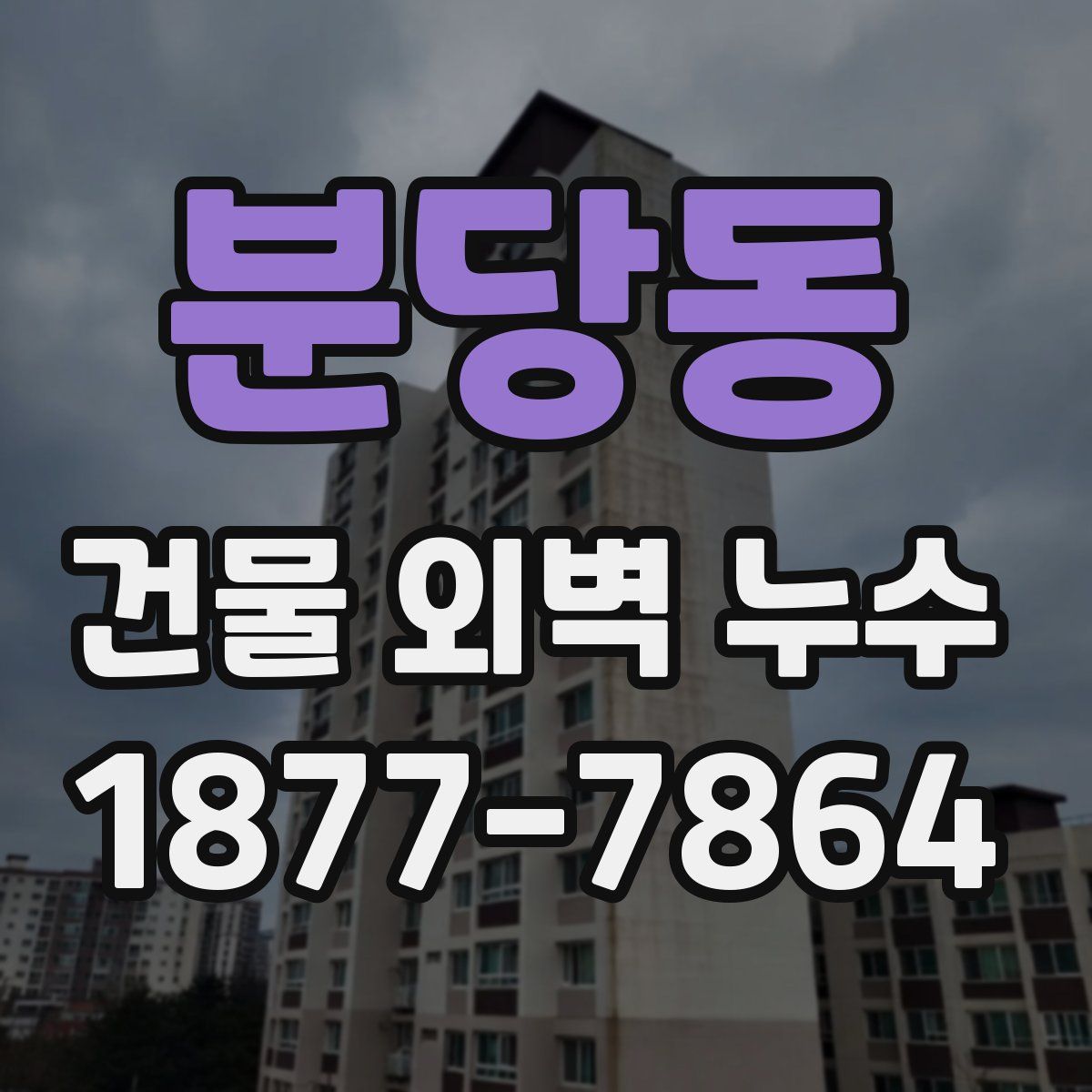 분당동 건물 외벽 누수