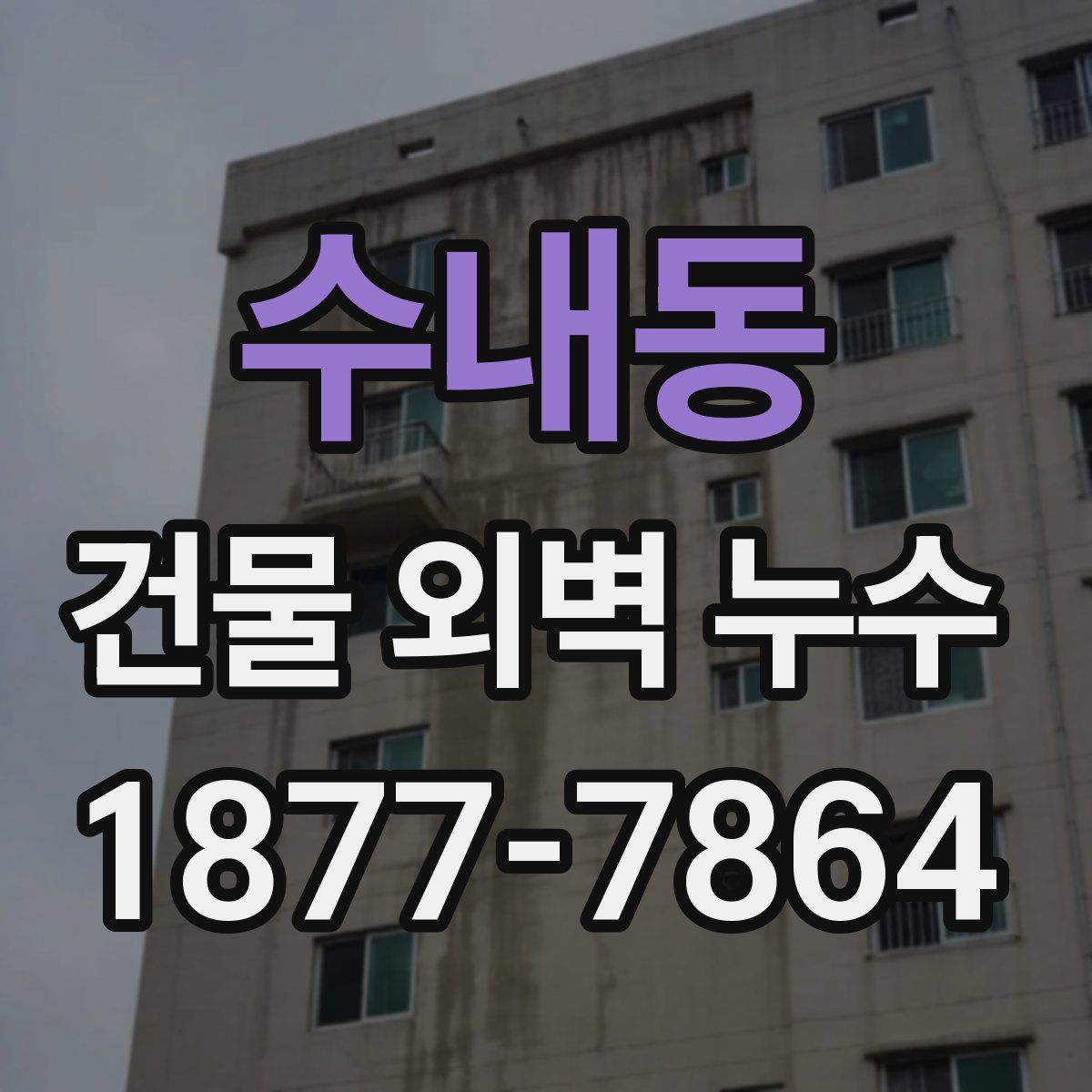 수내동 건물 외벽 누수