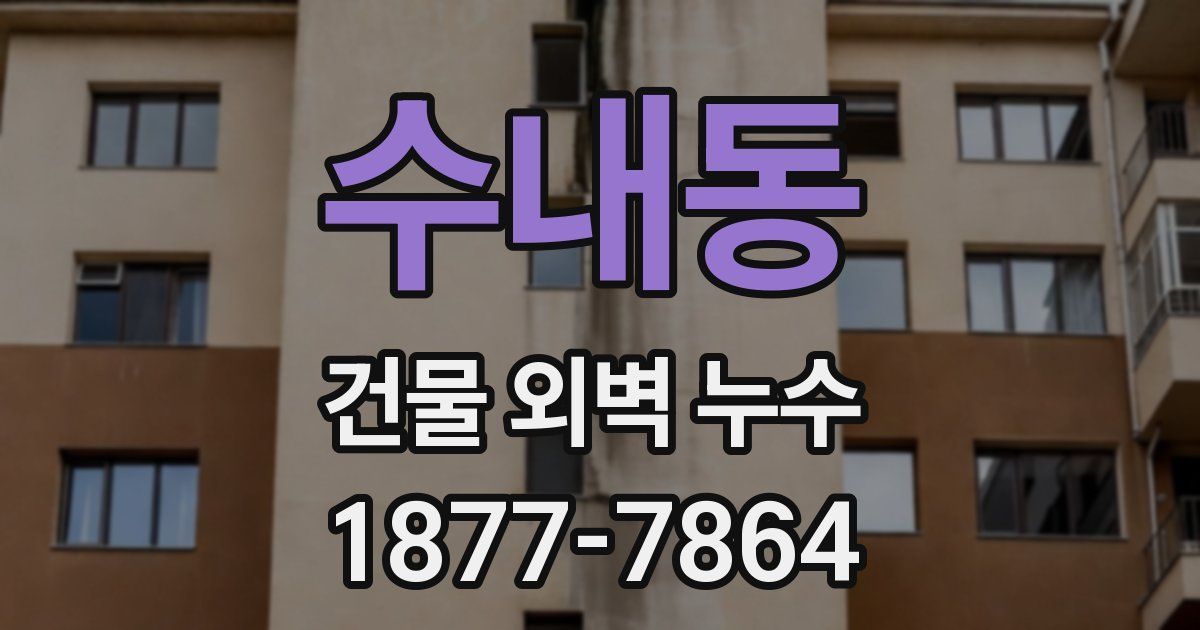 수내동 건물 외벽 누수