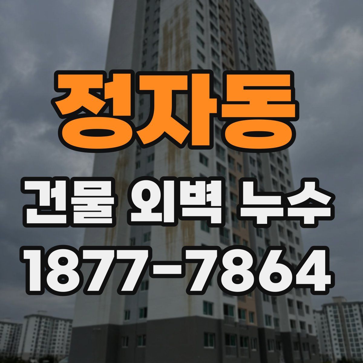 정자동 건물 외벽 누수