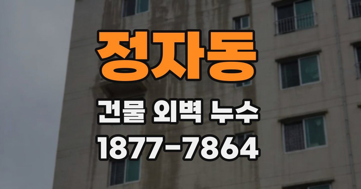 정자동 건물 외벽 누수