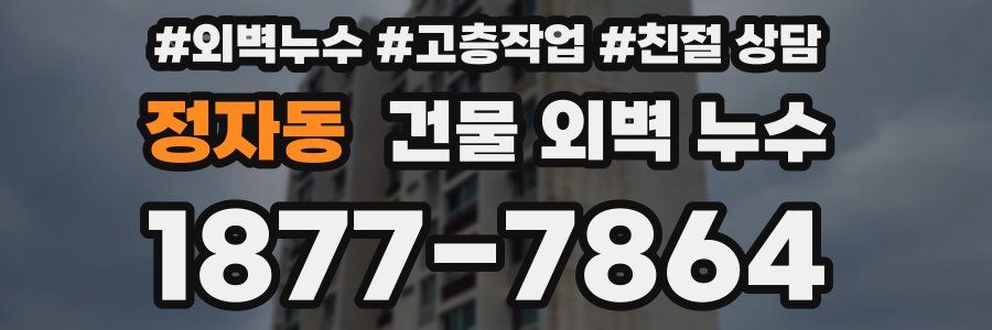 정자동 건물 외벽 누수