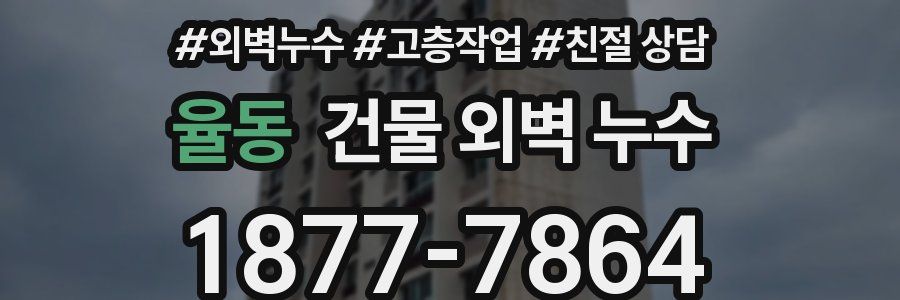 율동 건물 외벽 누수