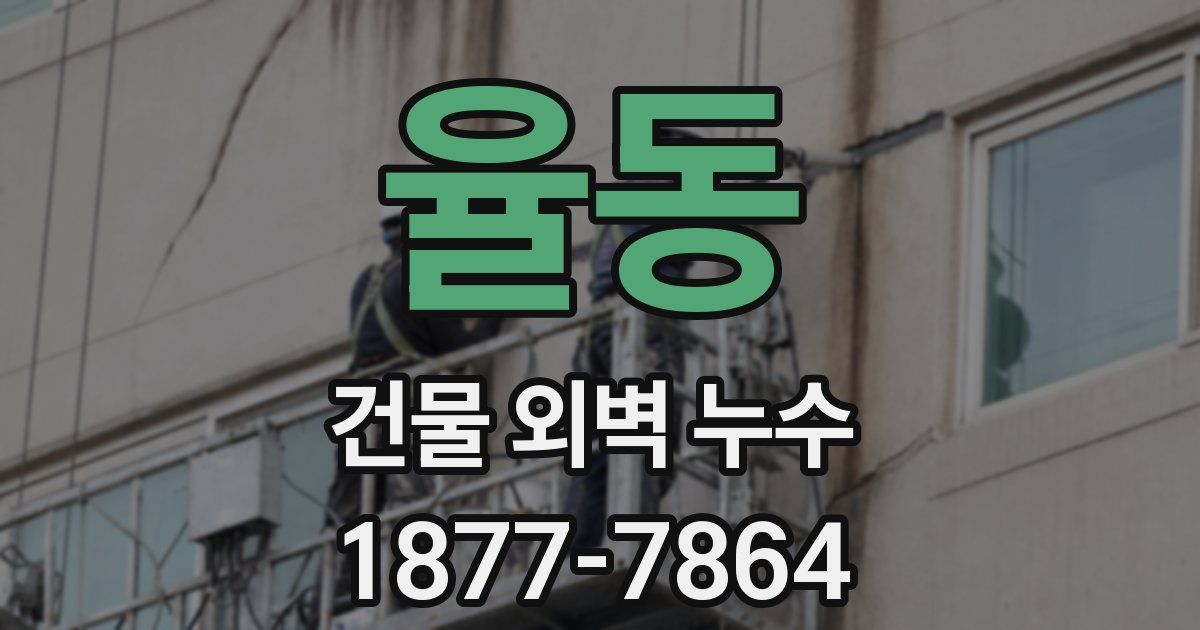 율동 건물 외벽 누수