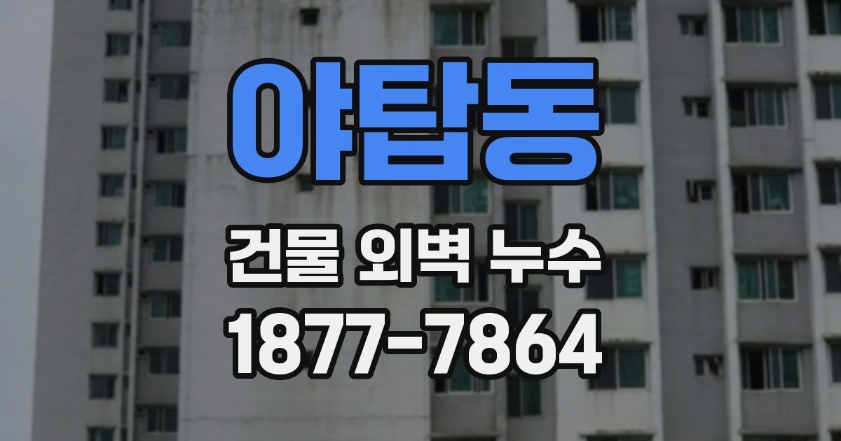 야탑동 건물 외벽 누수