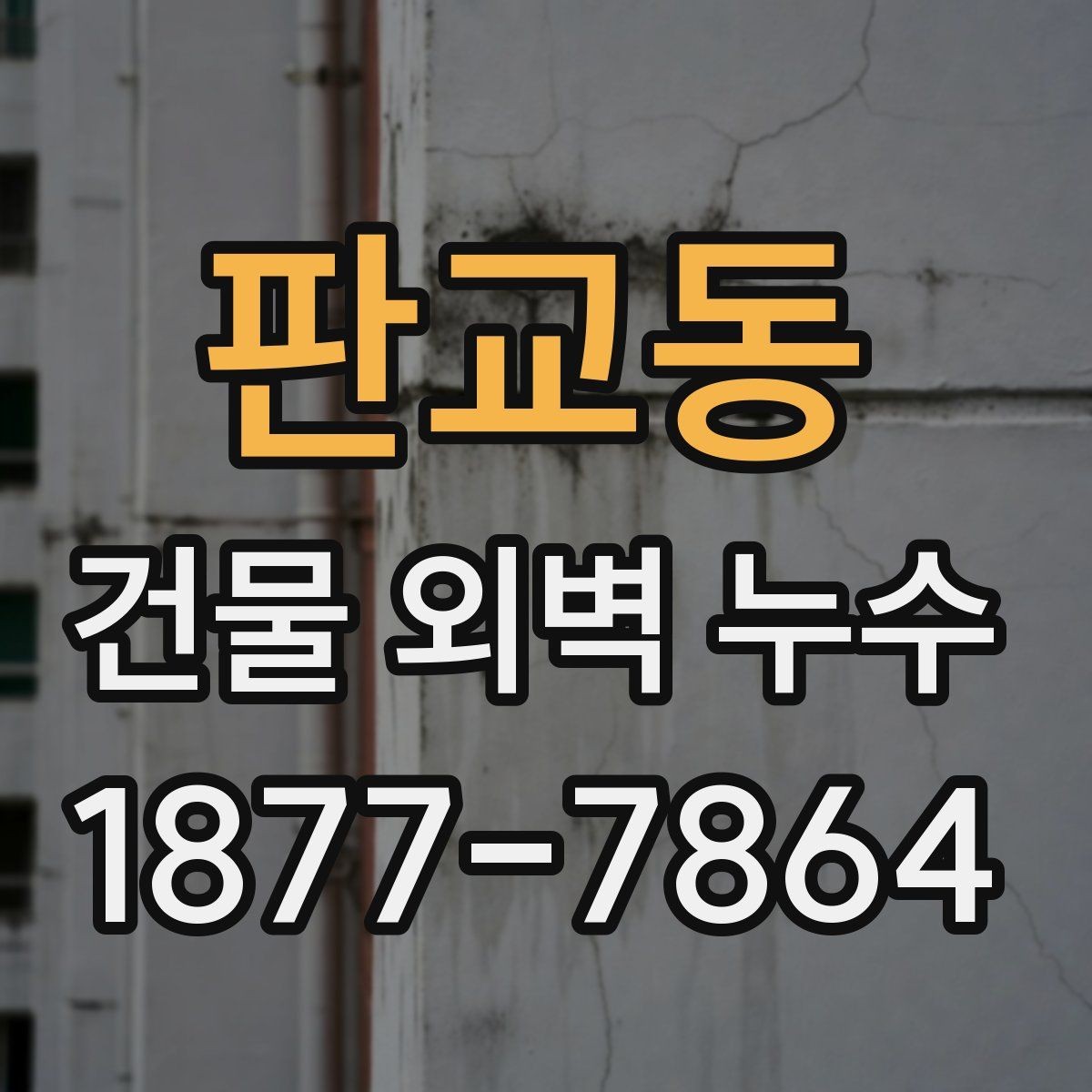 판교동 건물 외벽 누수 의심될 때 먼저 볼 곳
