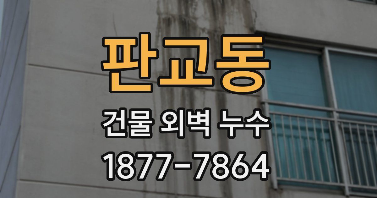 판교동 건물 외벽 누수