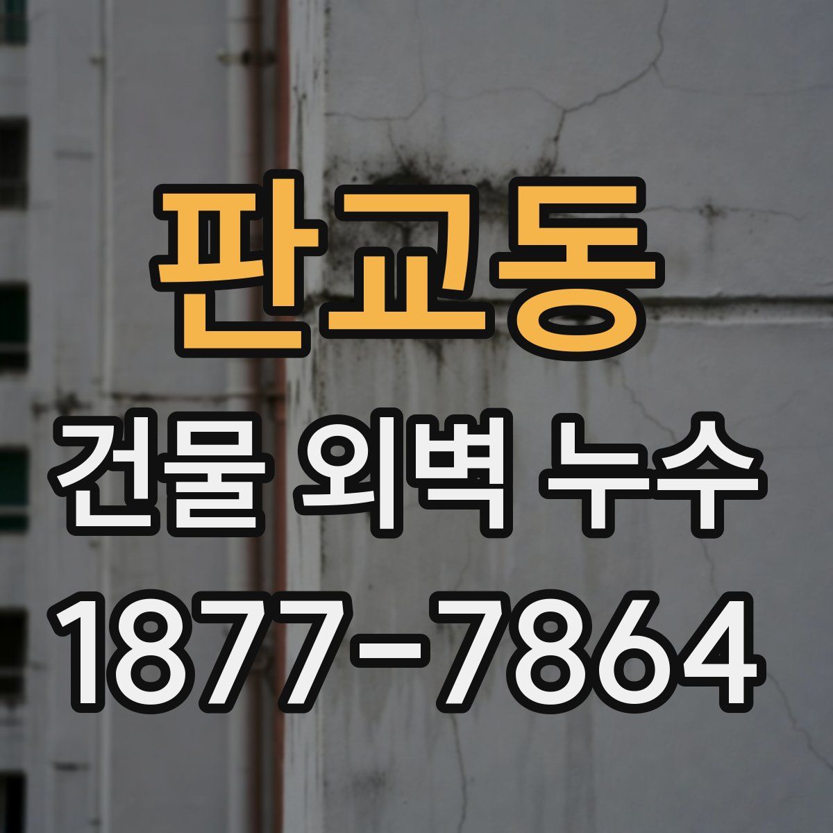 판교동 건물 외벽 누수