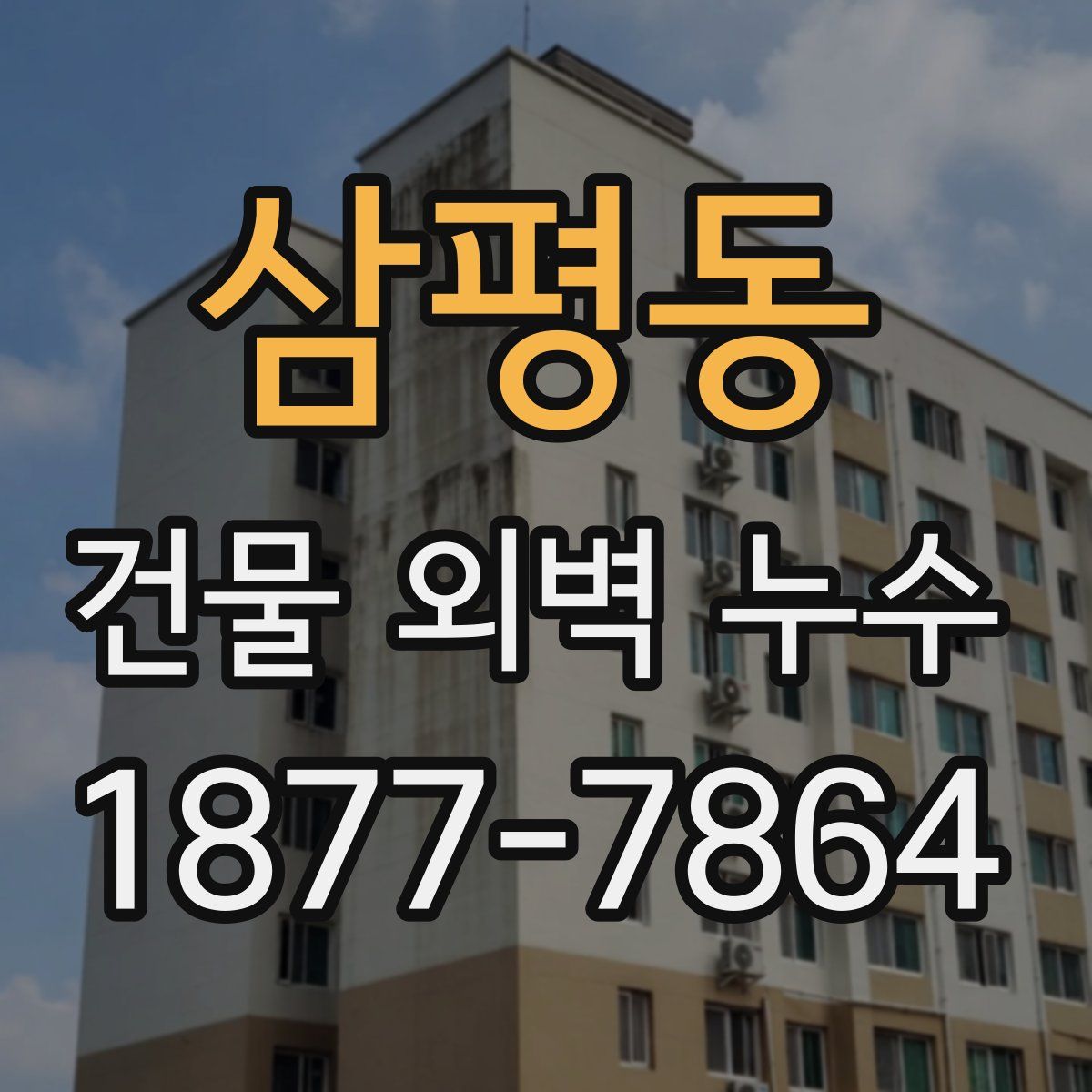 삼평동 건물 외벽 누수