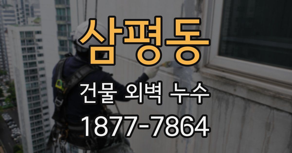 삼평동 건물 외벽 누수