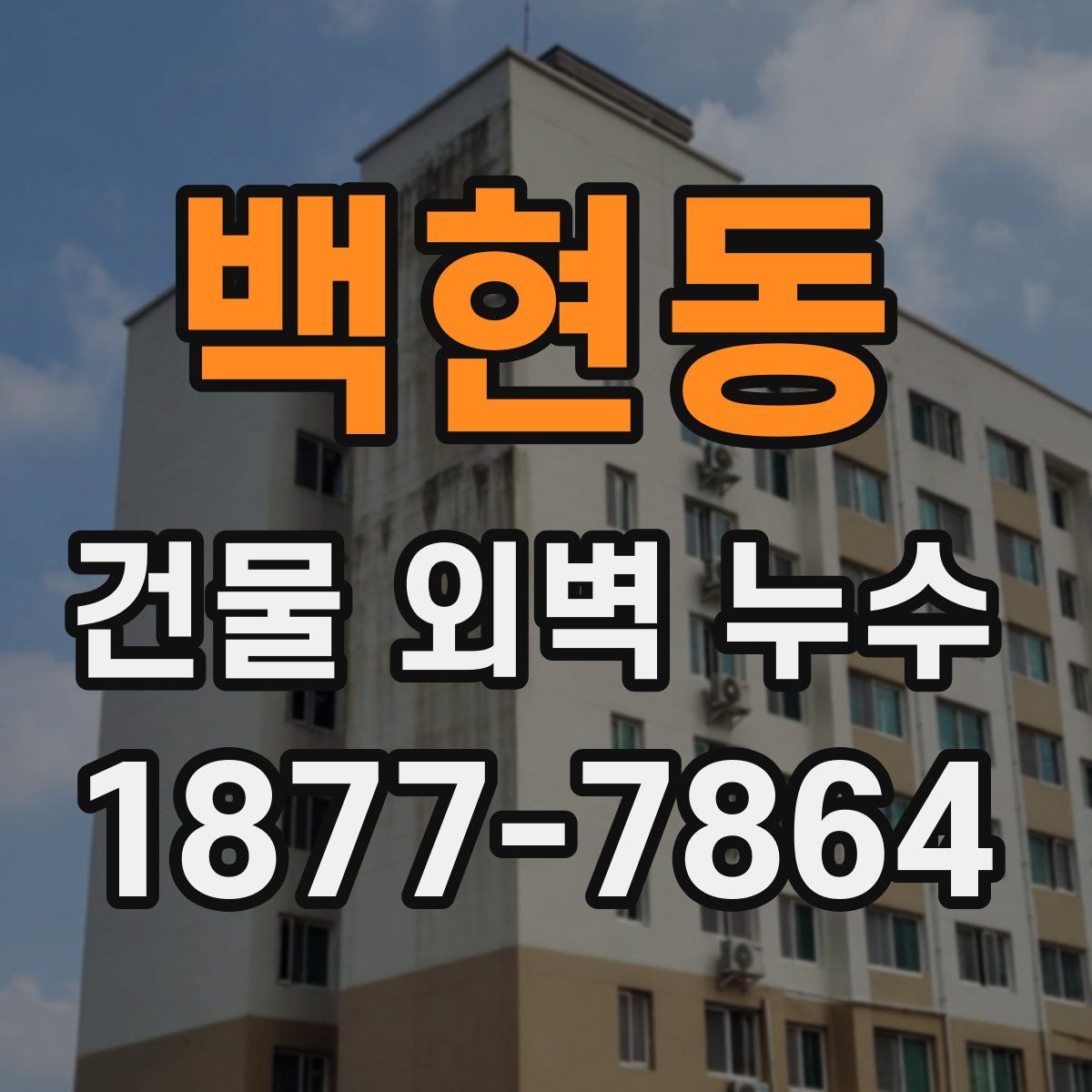 백현동 건물 외벽 누수