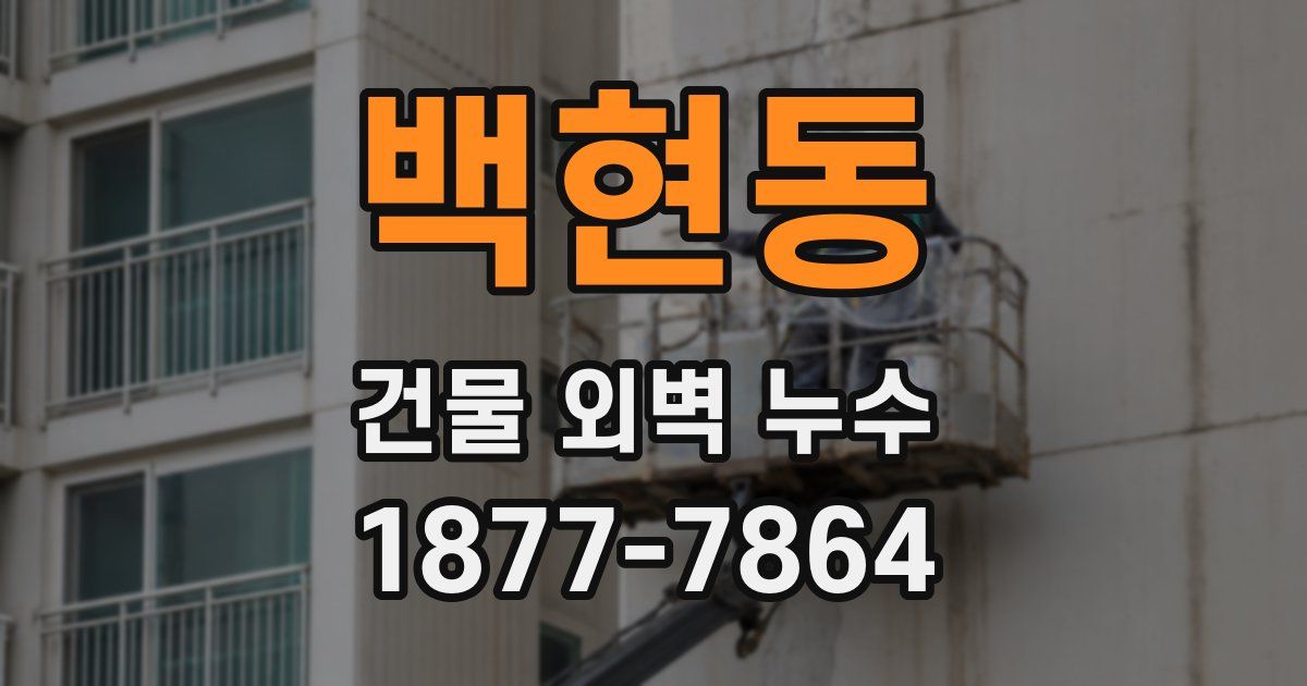 백현동 건물 외벽 누수