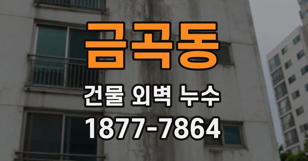 금곡동 건물 외벽 누수