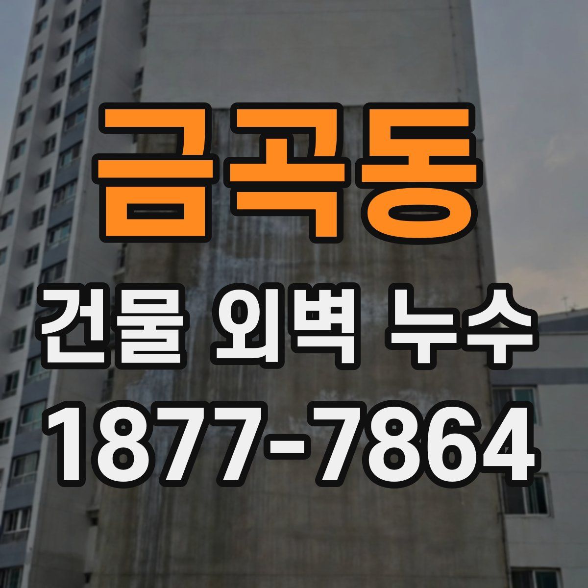금곡동 건물 외벽 누수